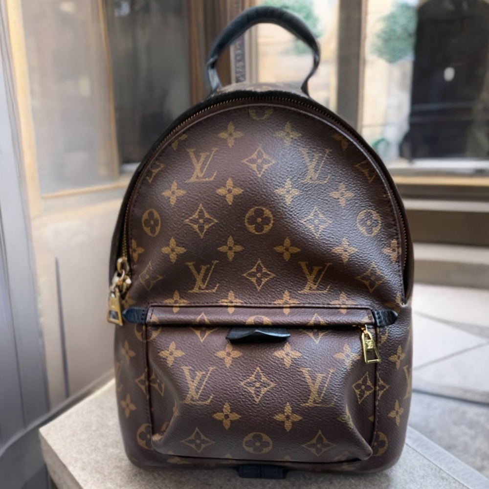 Louis Vuitton Palm Springs PM Backpack — Monogram Canvas (2019)*DISCONTINUED*